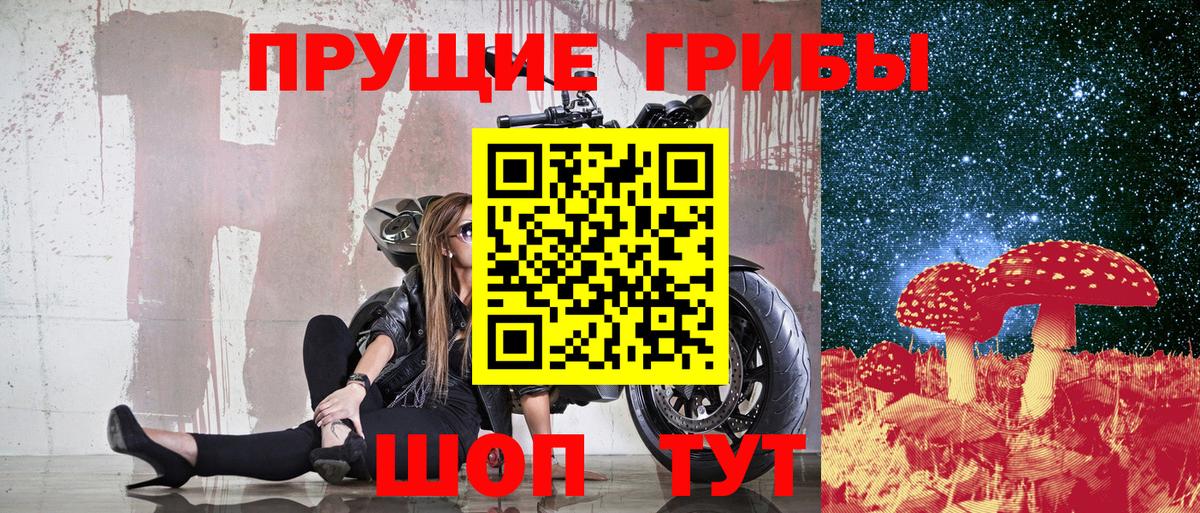 Псилоцибиновые грибы ЛСД Новороссийск
