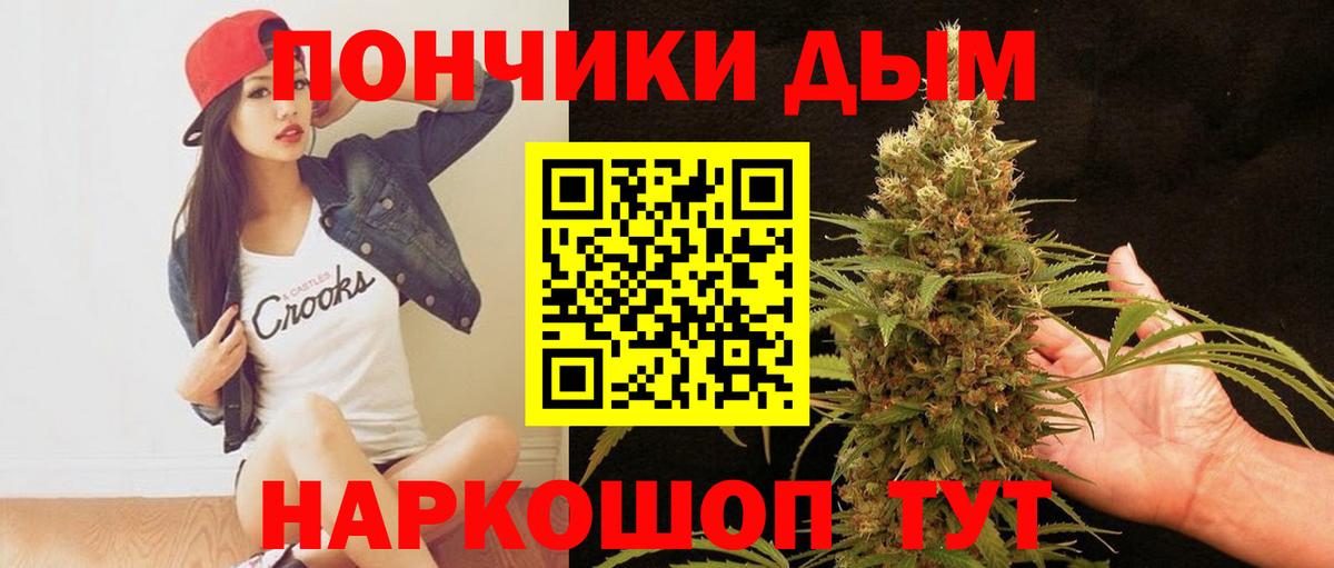 Каннабис планчик Новороссийск